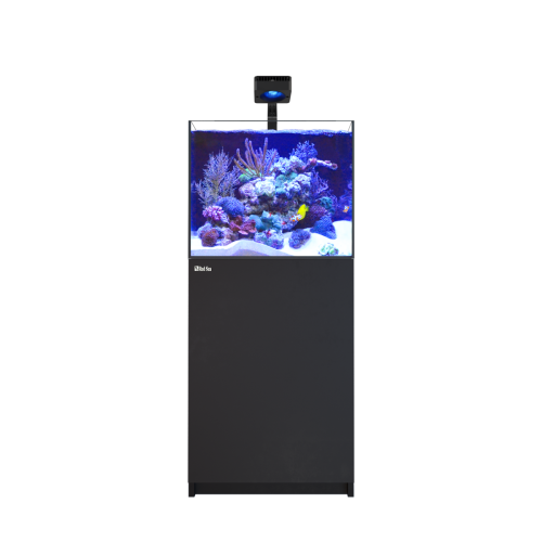 reefer-deluxe-170-g3