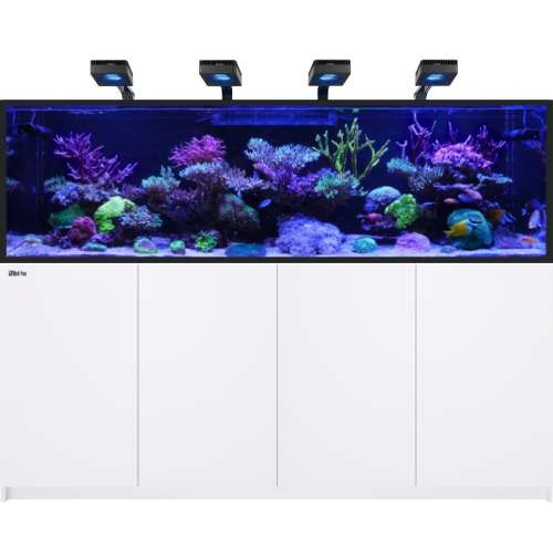 reefer-deluxe-s1000-g3